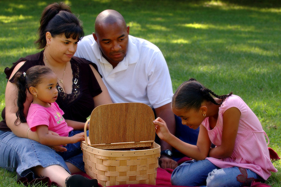 Family Picnic in Summer